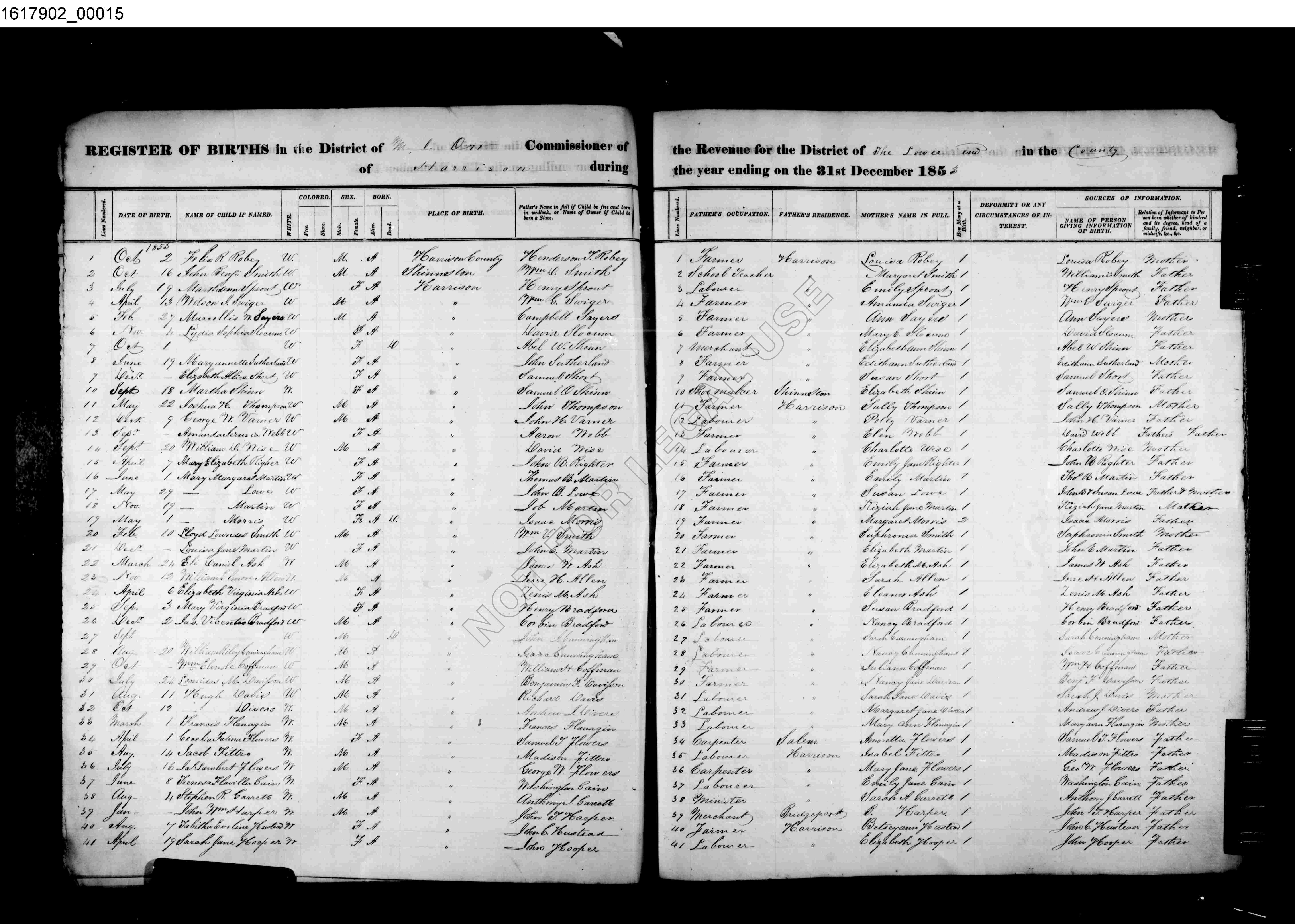 Record Image