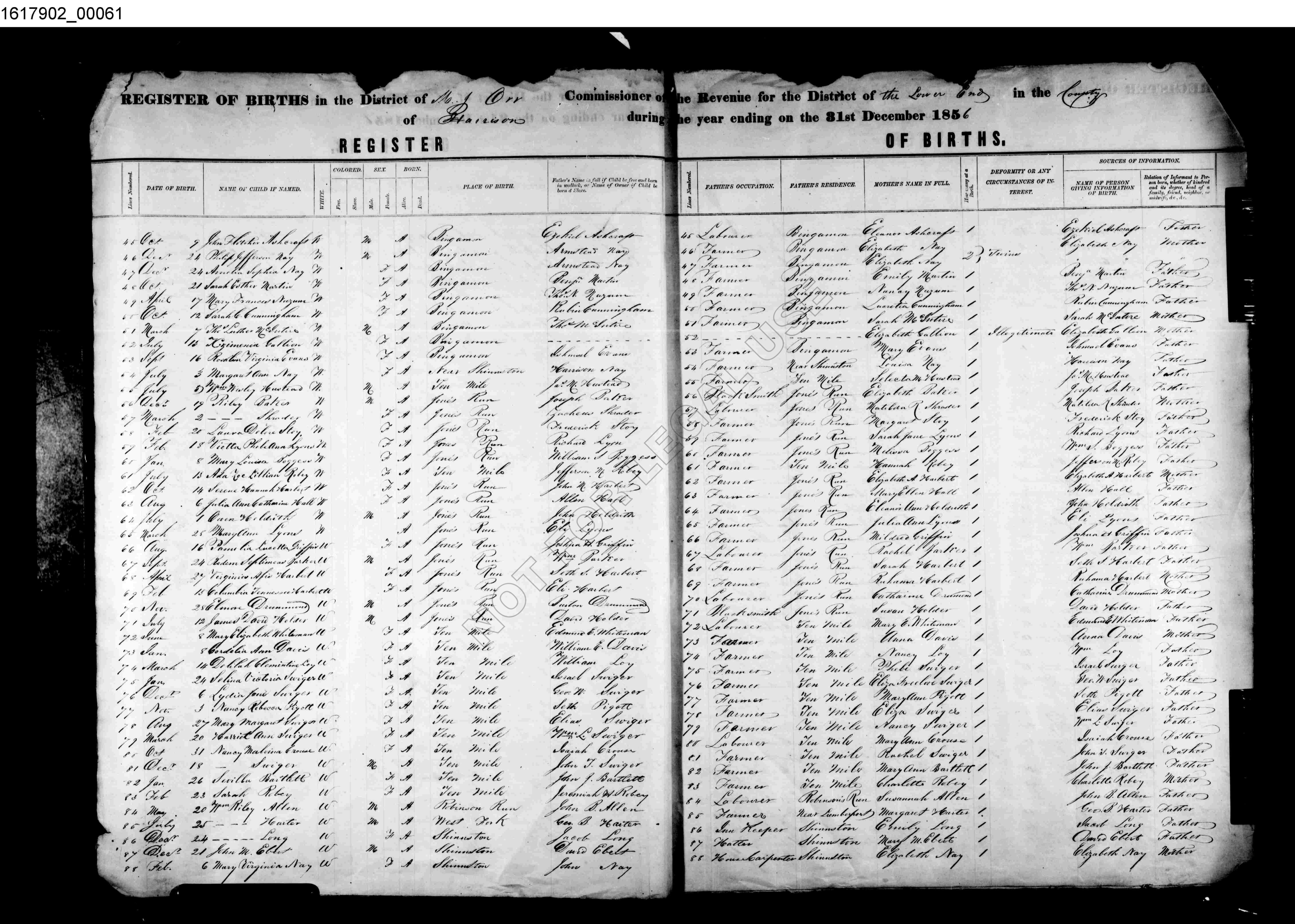 Record Image
