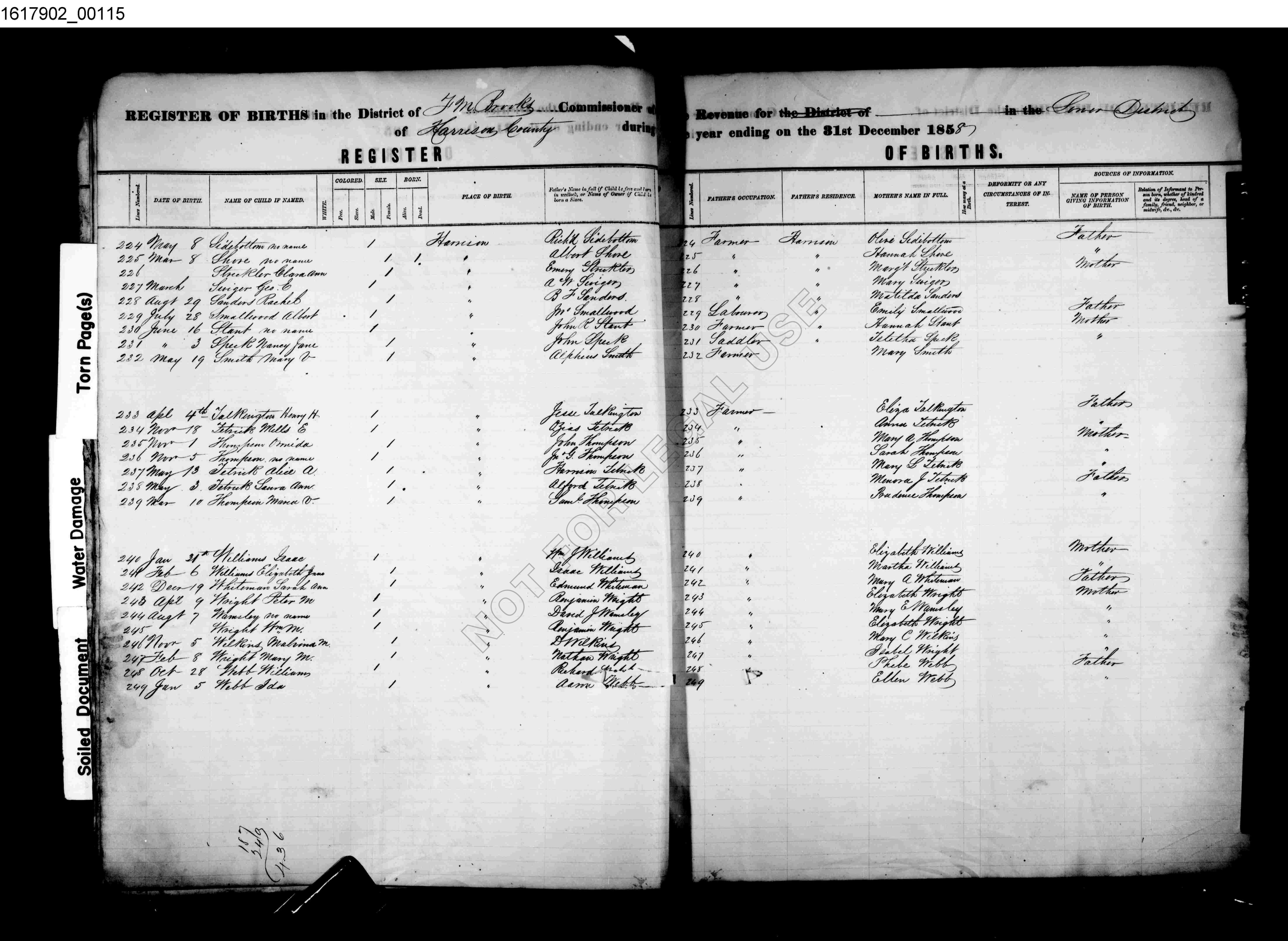 Record Image