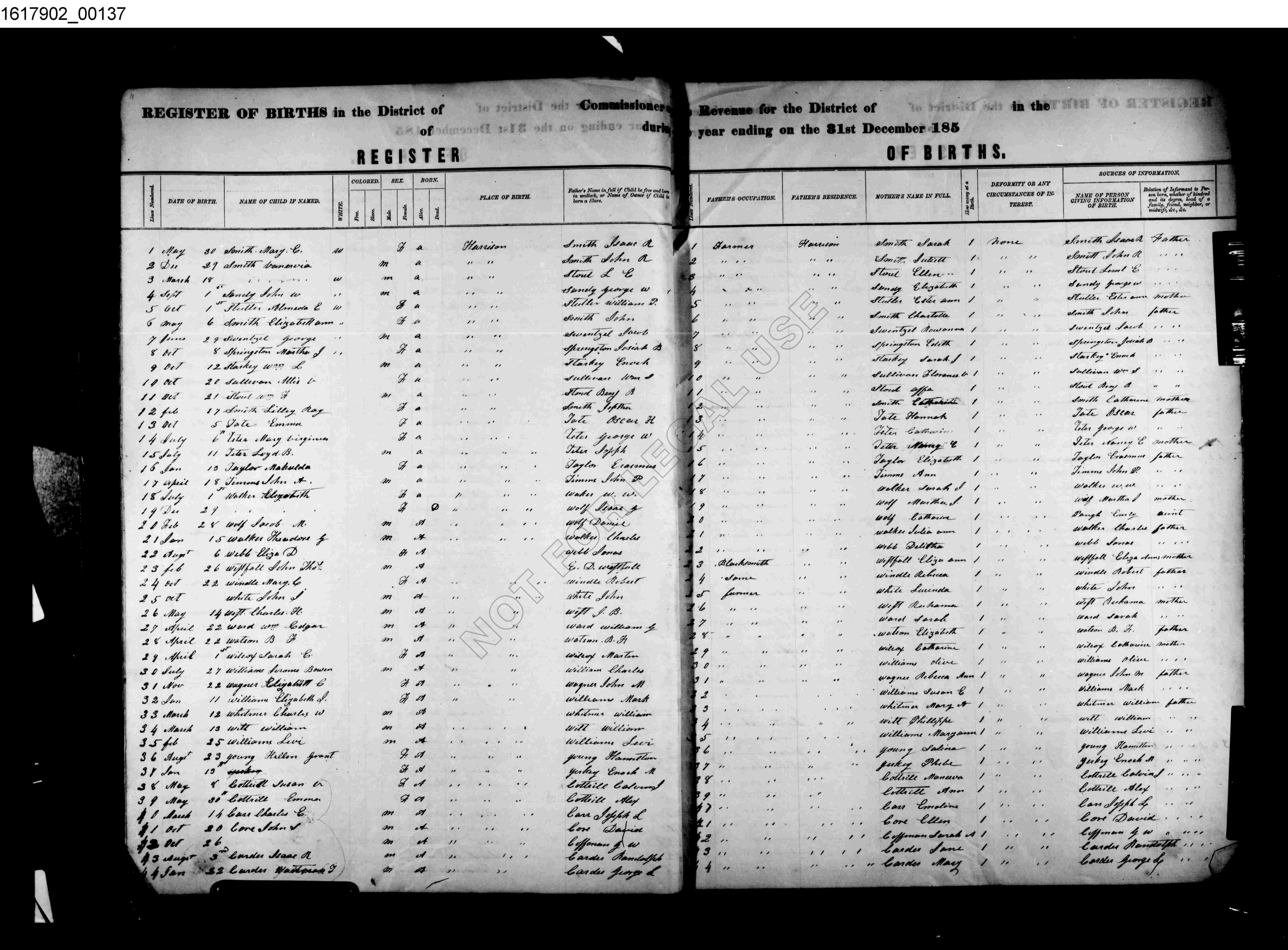 Record Image