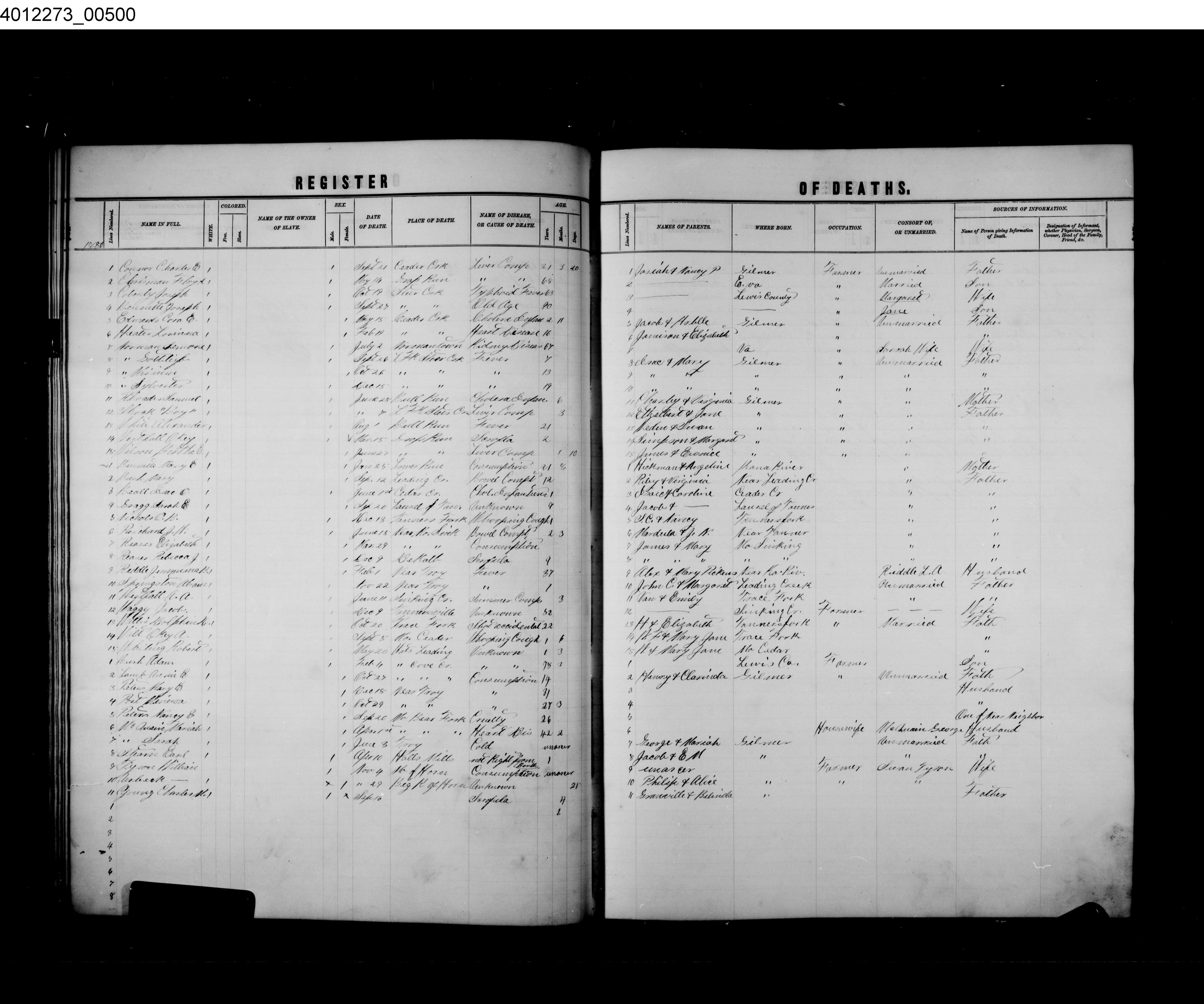 Record Image