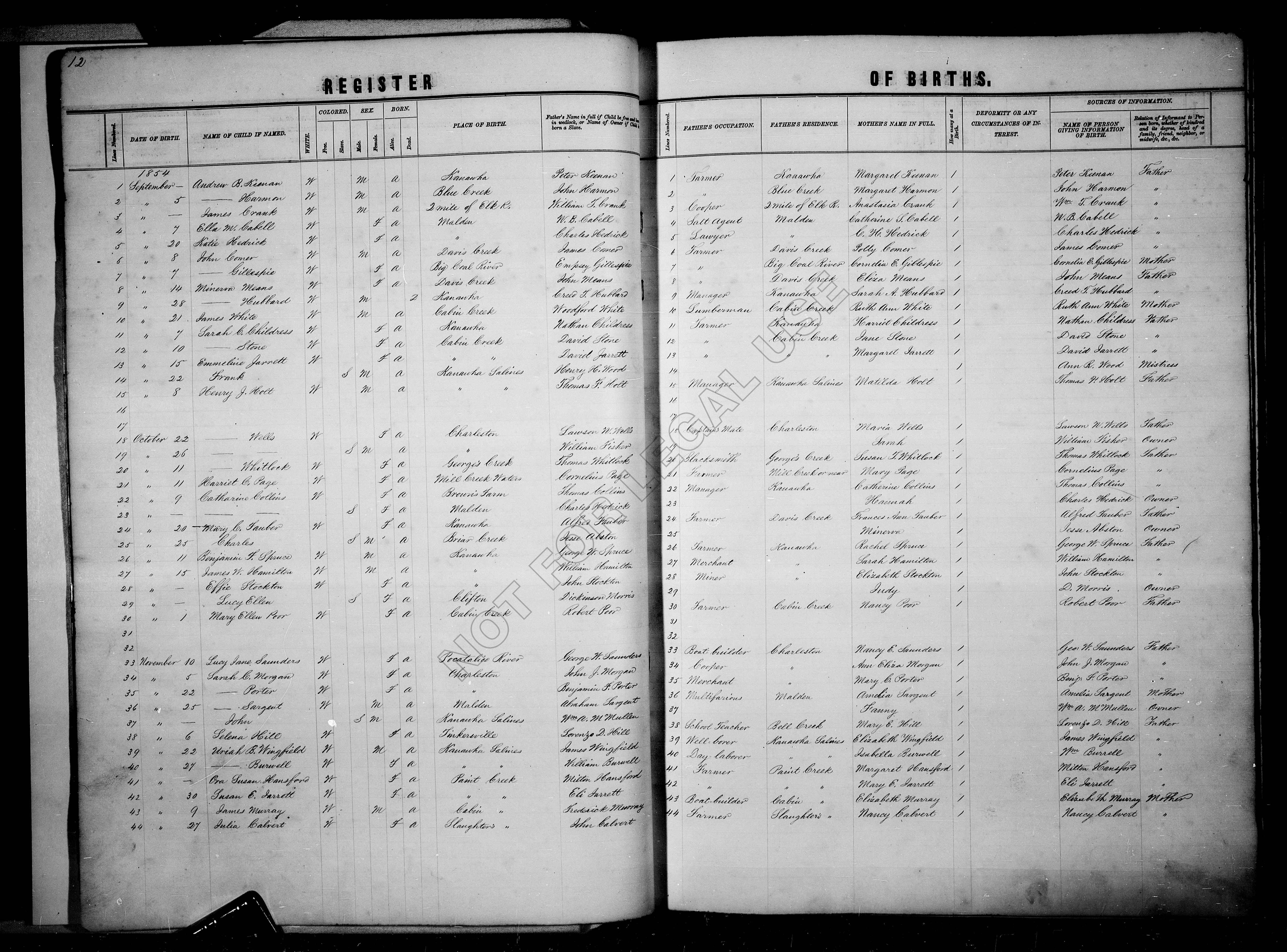 Record Image