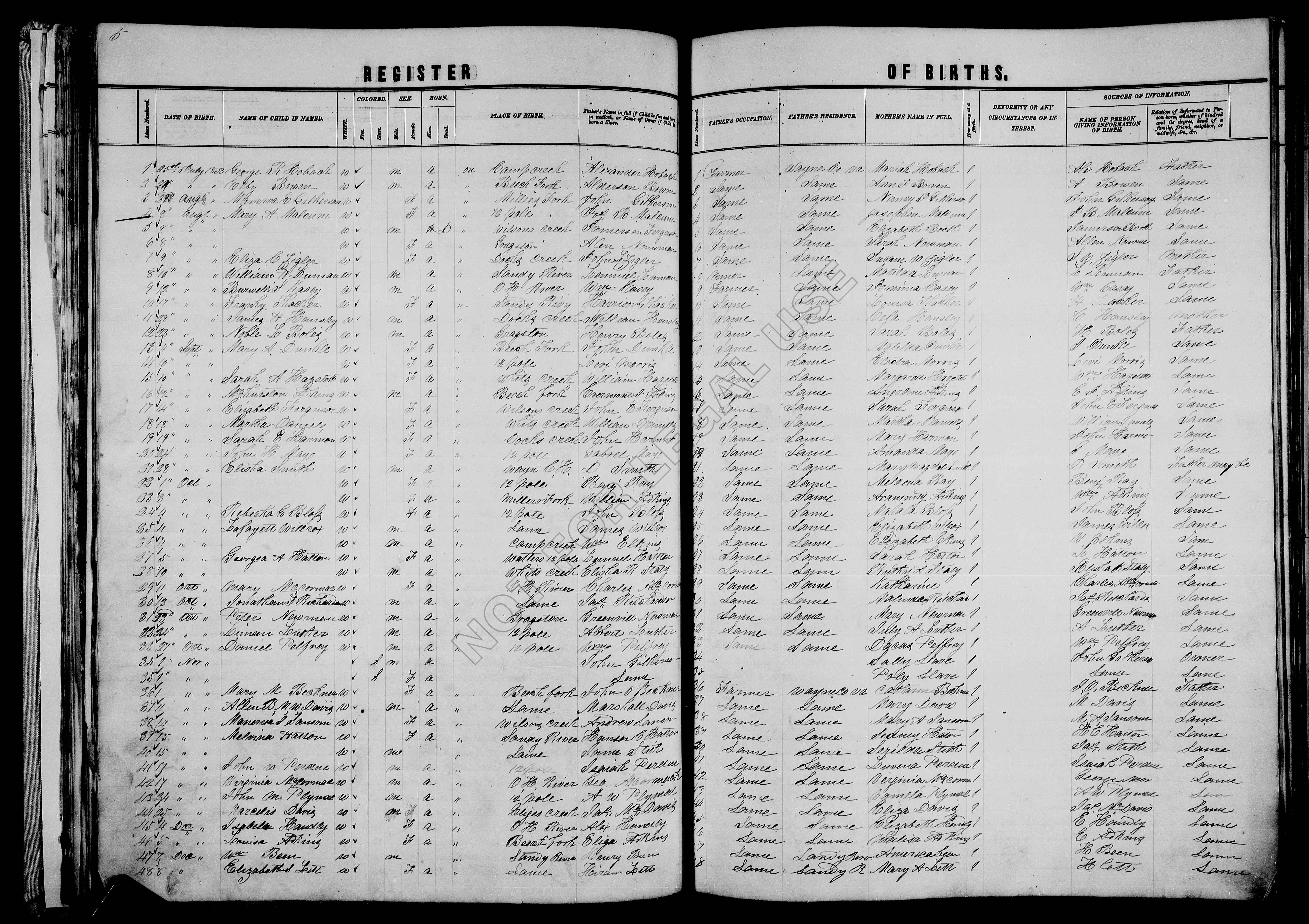Record Image