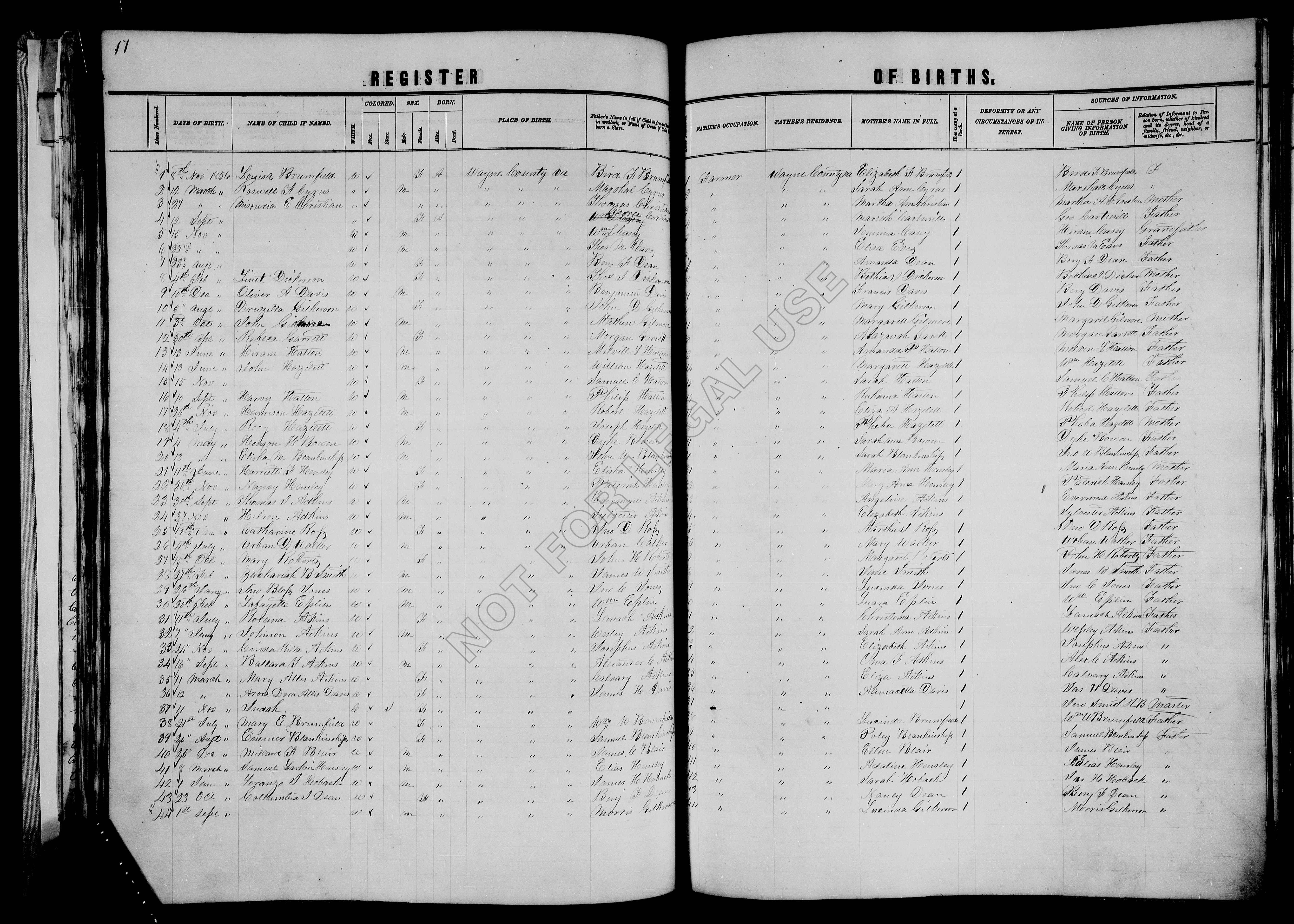 Record Image