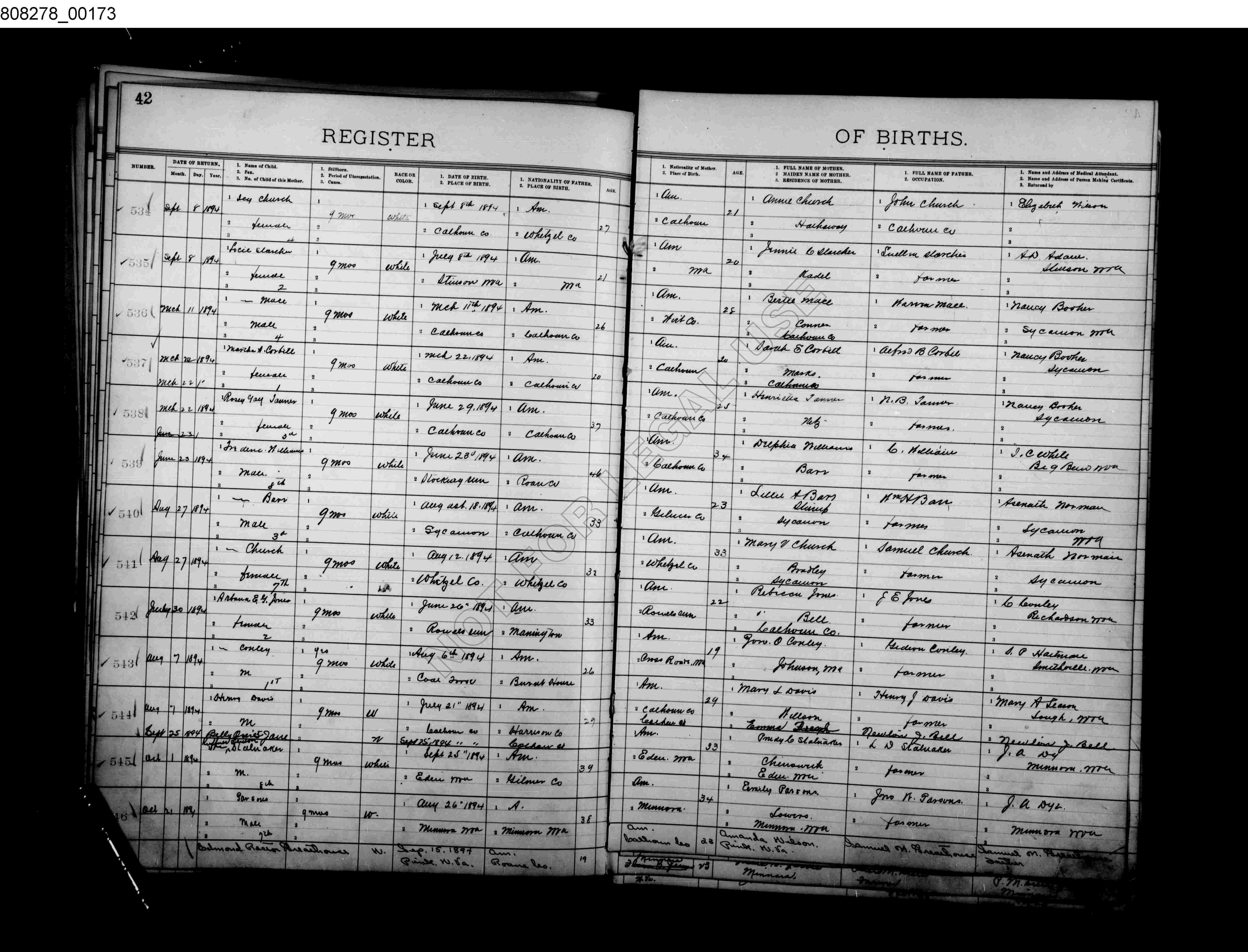 Record Image