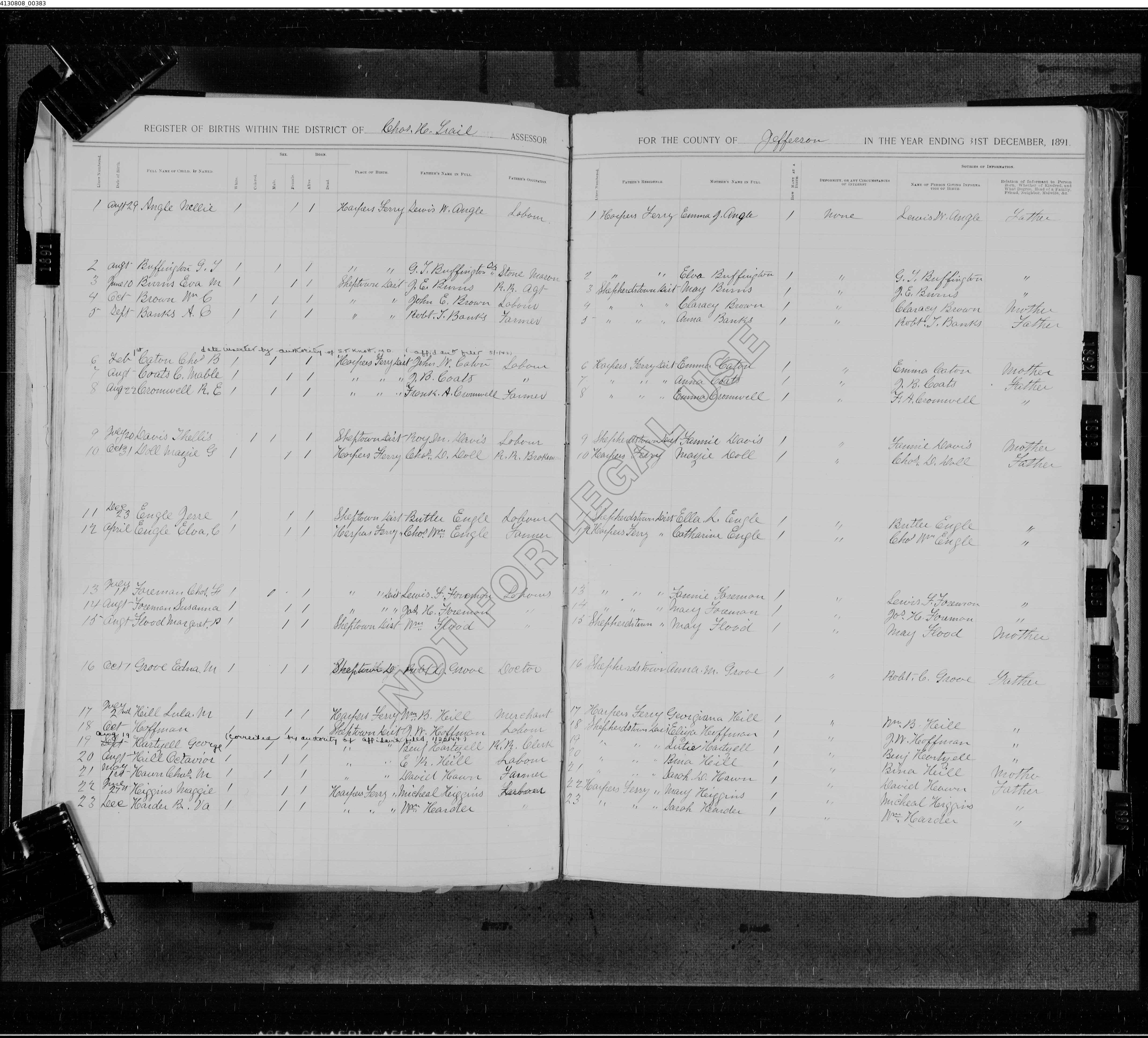 Record Image