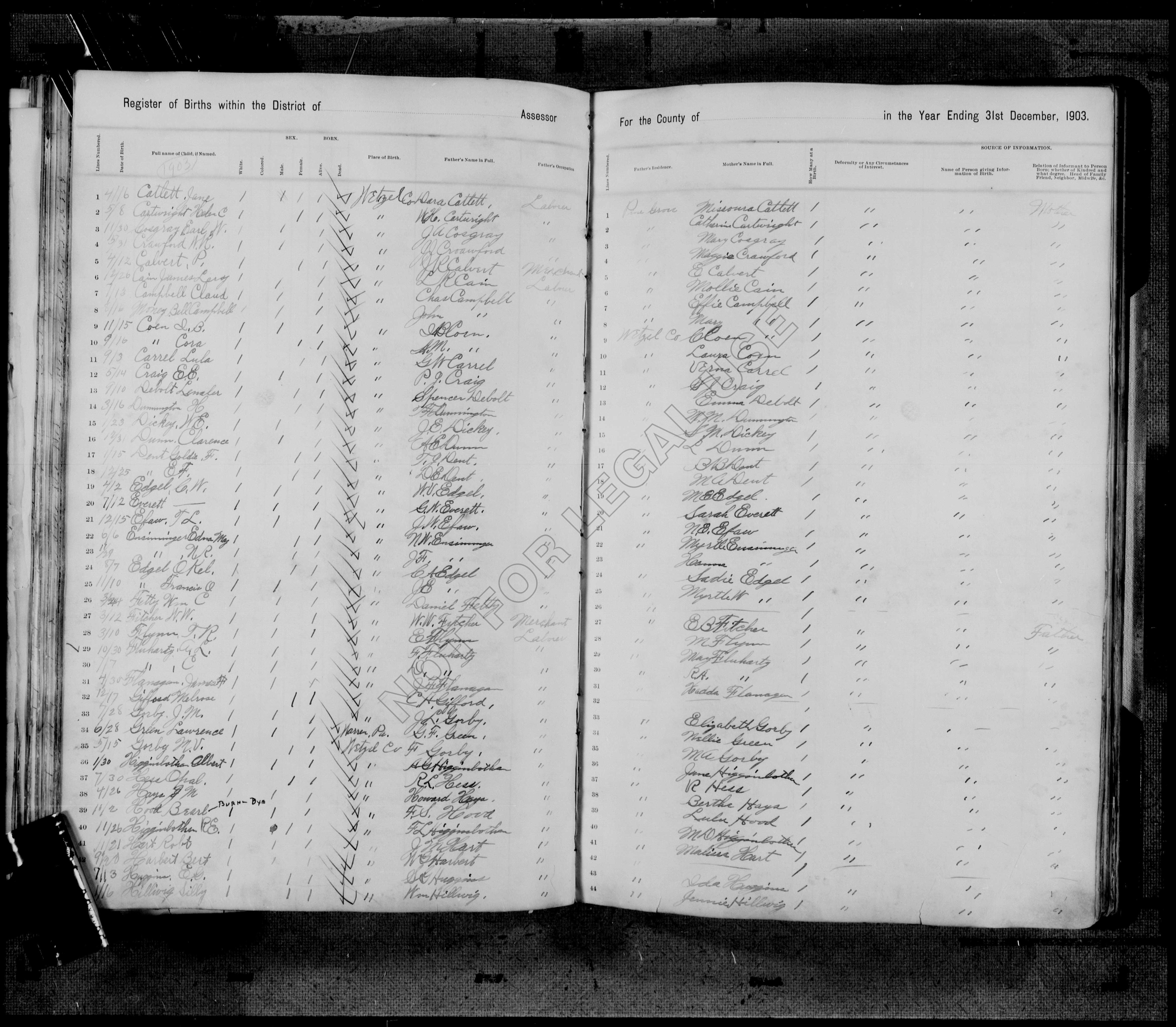 Record Image