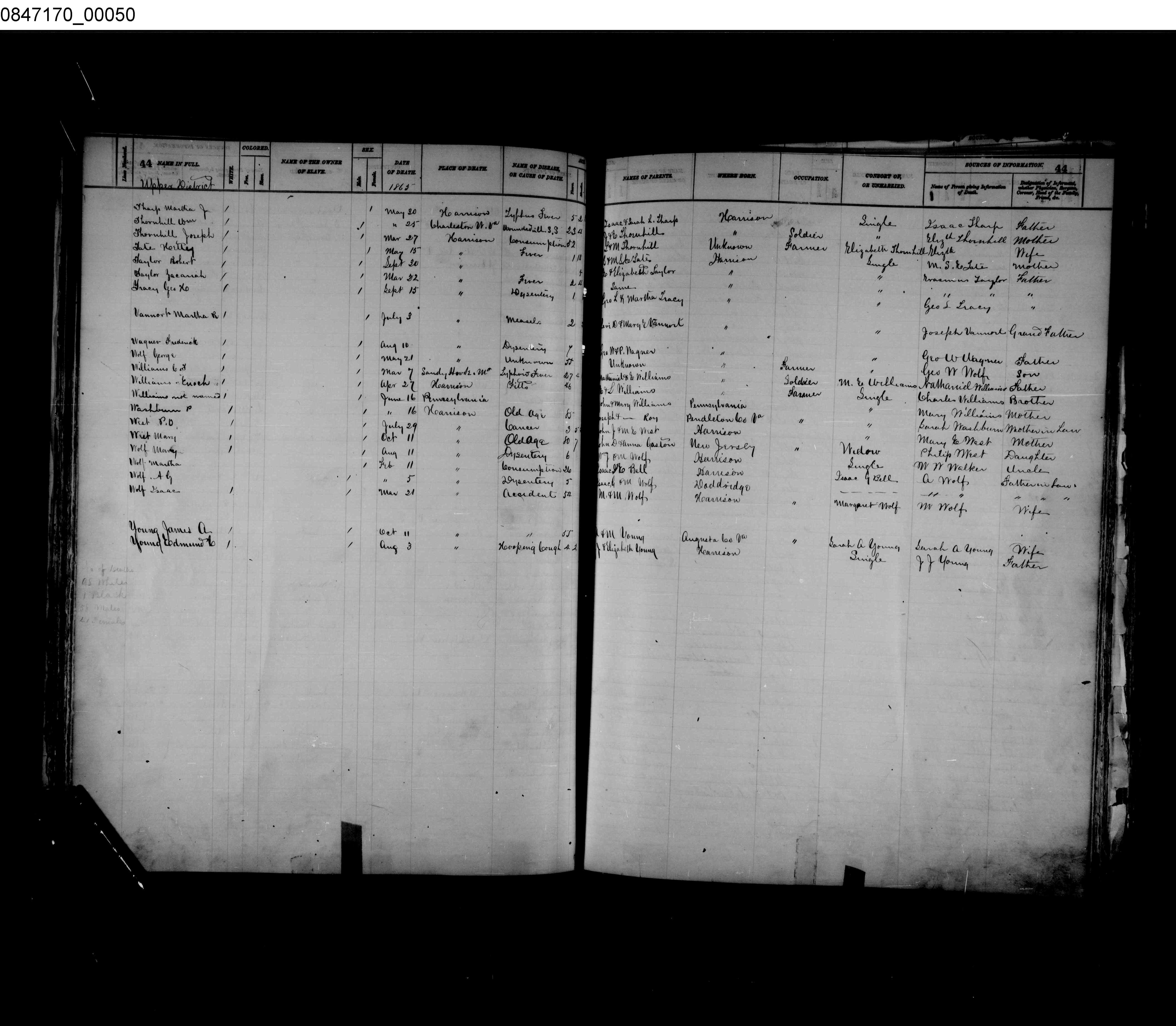 Record Image