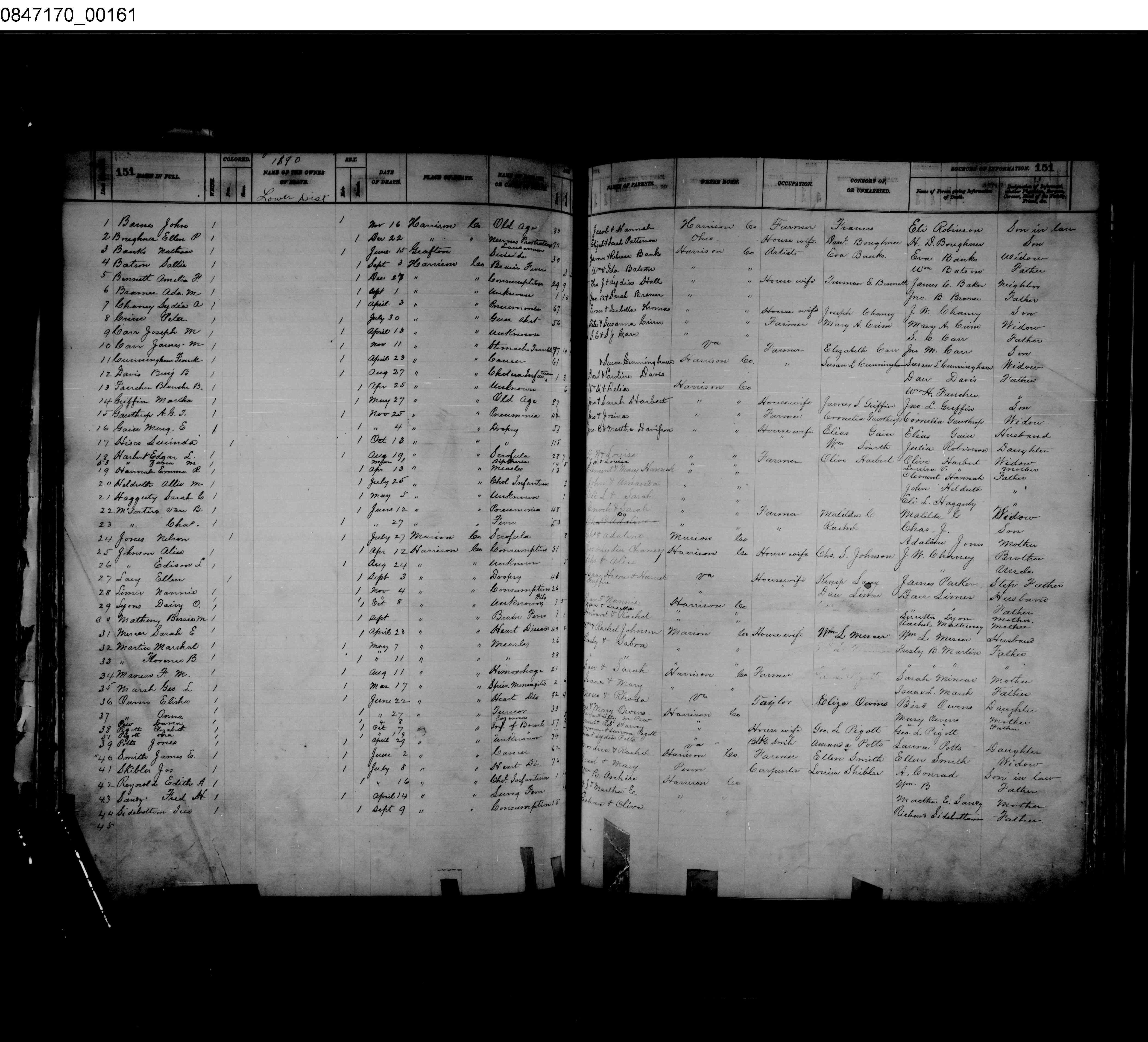 Record Image
