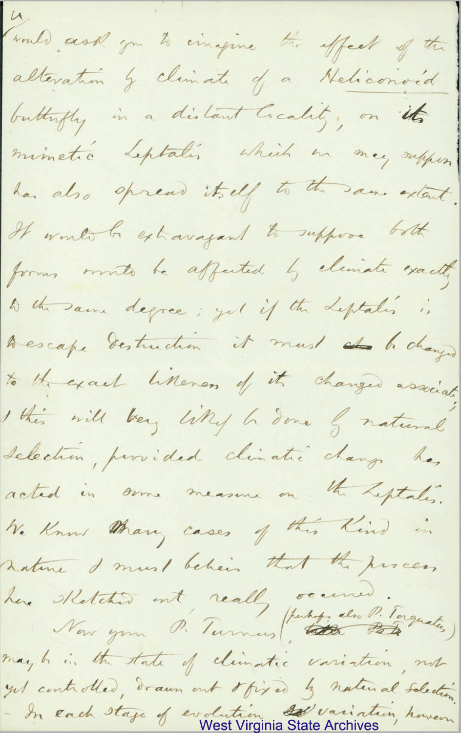 Correspondence from Henry Wallace Bates to William Henry Edwards, regarding entomology, 1877. (Ms79-2)